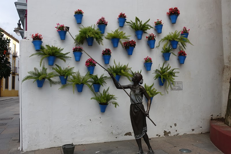 Апельсины и цветы. Январская Андалусия 2018