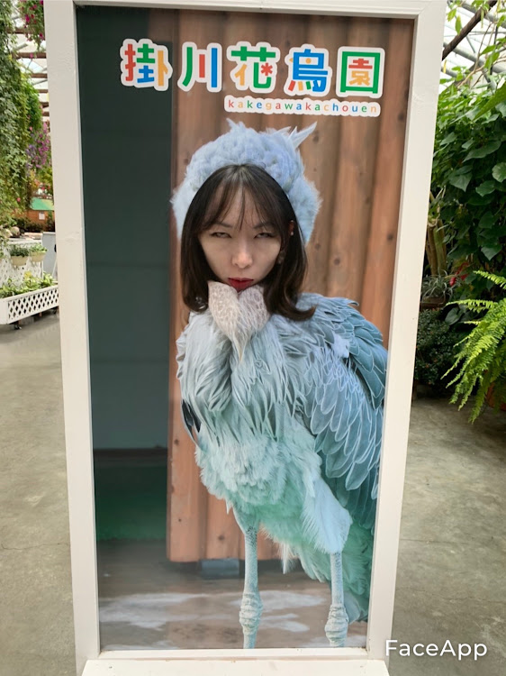 360モデナの矢馬美沢様・ピックアップ確定・応援ありがとうございましたに関するカスタム事例の投稿画像1枚目