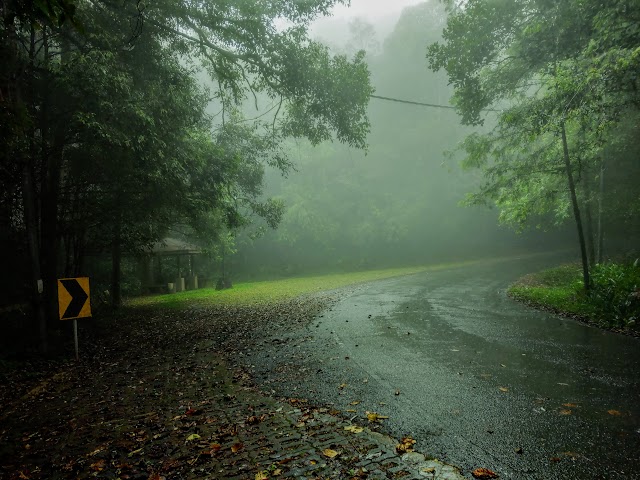 Kinabalu National Park