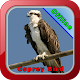 Download Osprey Bird Song For PC Windows and Mac 1.0