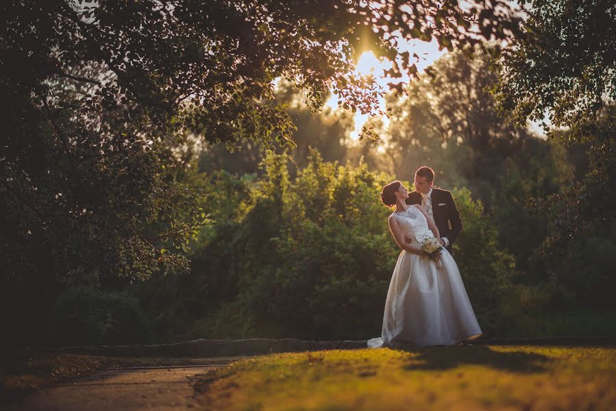 Photographe de mariage Anze Mulec (anzemulec). Photo du 22 août 2017