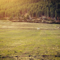 Parco nazionale della Sila  di 