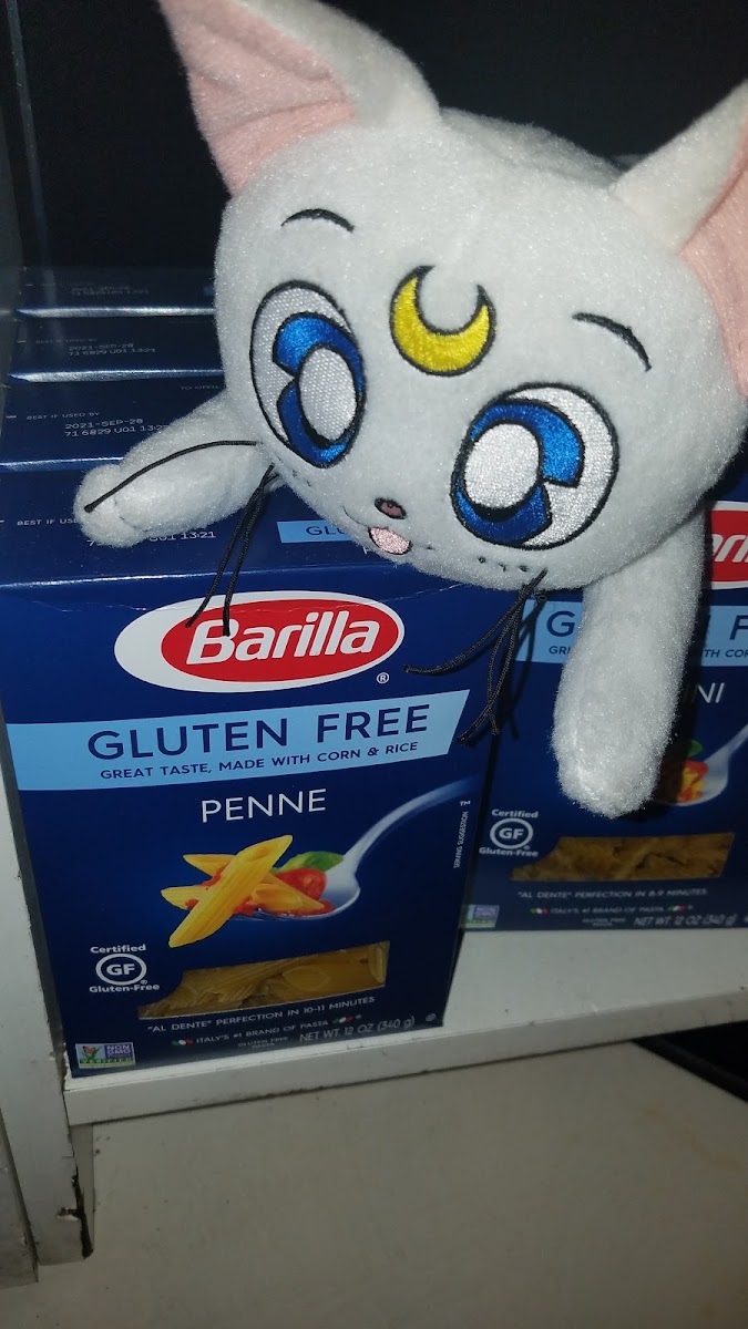 Artemis is very excited that he can even purchase gluten-free pasta to take home and cook for Luna and Diana😺