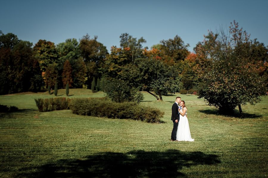 Wedding photographer Pavel Sharnikov (sefs). Photo of 4 October 2017