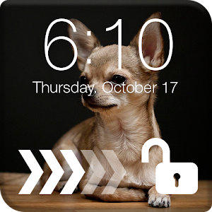 Download Cute Chihuahua Screen Lock For PC Windows and Mac