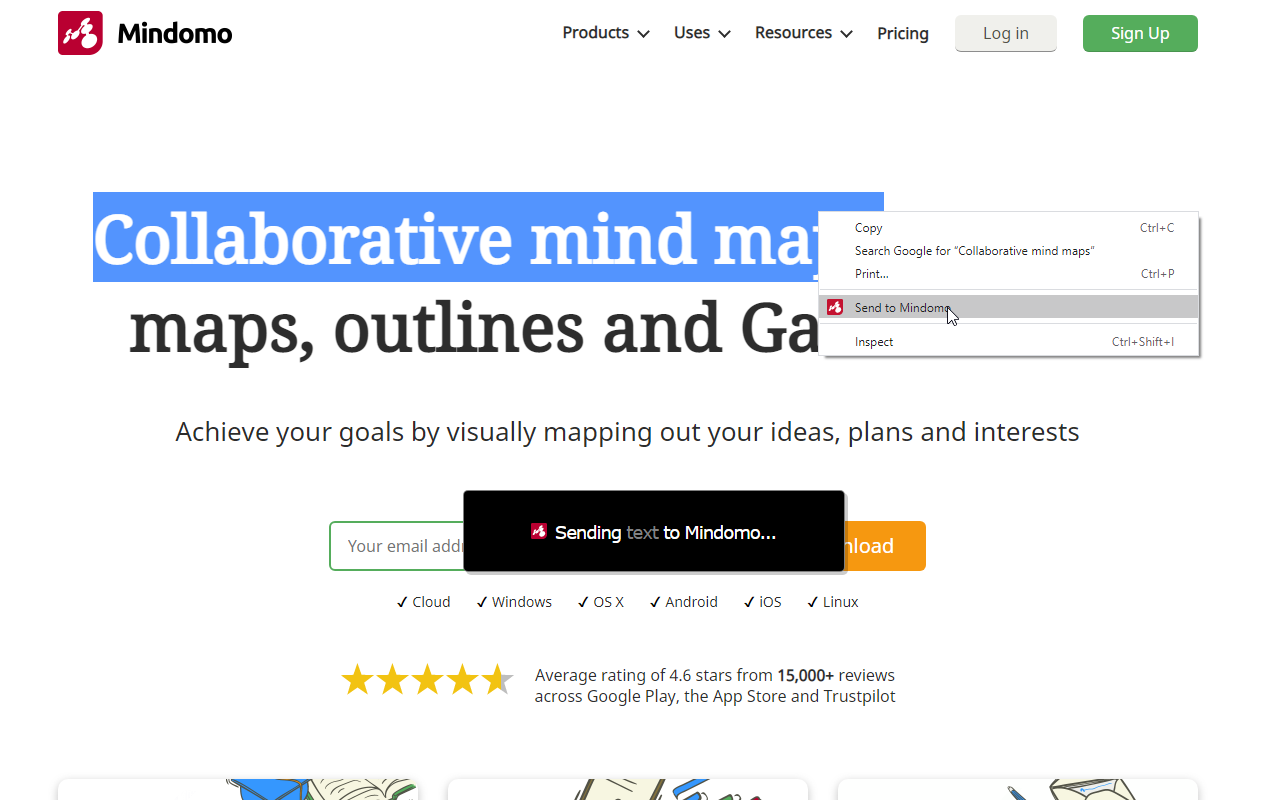 Mindomo Bookmarks Preview image 6