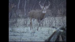 Over Par at Saskatchewan Whitetail thumbnail