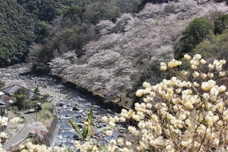 の投稿画像2枚目