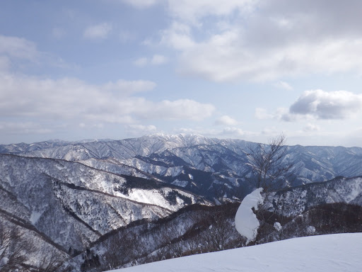 金糞山が良く見える