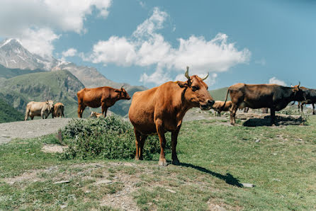 Fotografo di matrimoni Natalya Matlina (nataliamatlina). Foto del 2 luglio 2022