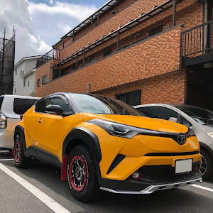 C-HR NGX50