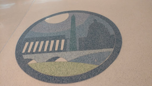 Washington Monuments Floor Mural