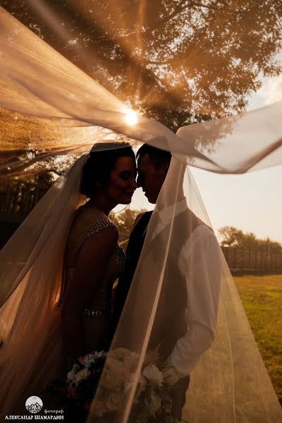 Photographe de mariage Aleksandr Shamardin (shamardin). Photo du 6 février 2019