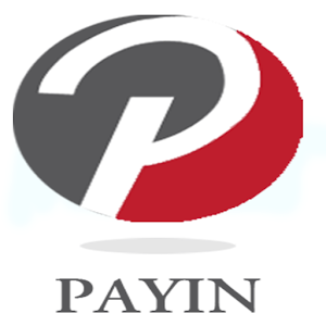 PayIn Recharge  Icon