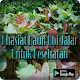 Download Khasiat Daun Ubi Jalar Untuk Kesehatan Populer For PC Windows and Mac