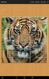Lastest PICTRIS Pro APK for Android