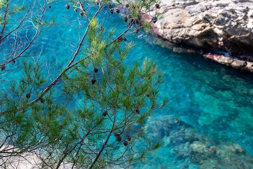 Appartement avec terrasse 2