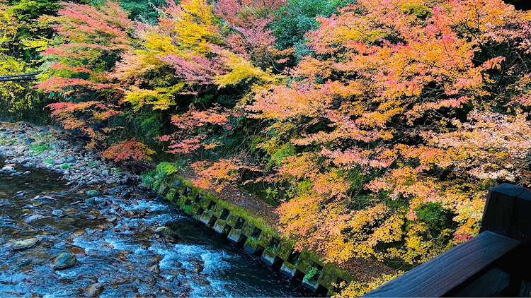 の投稿画像16枚目