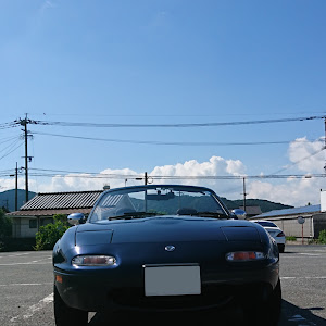 ロードスター NA8C