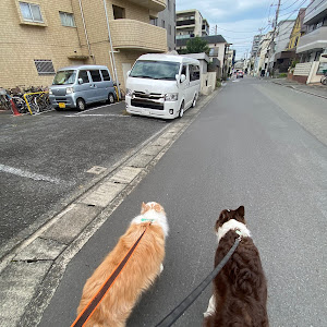 ハイエースバン