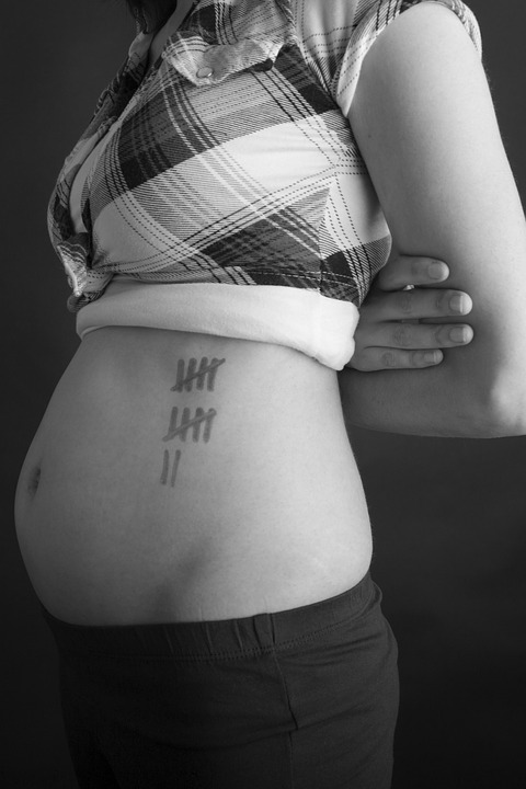 pregnancy-935985_960_720 pixabay.jpg