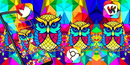 Colorful Owl Theme