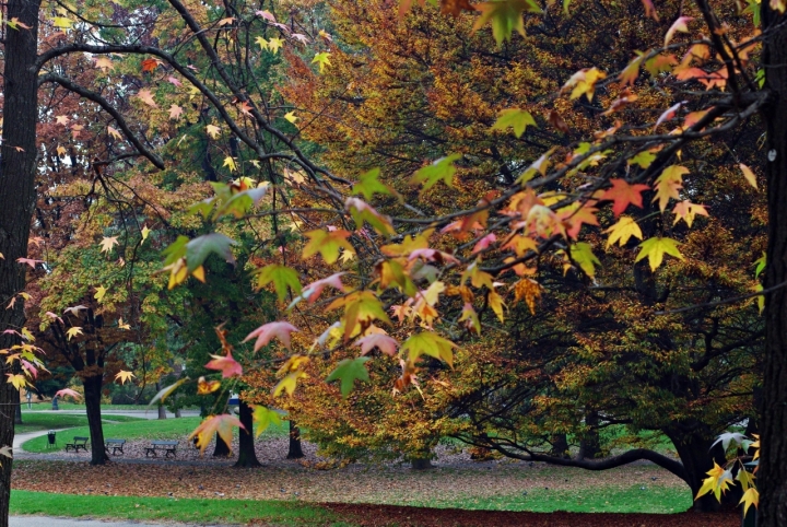 Autunno  inn di -----