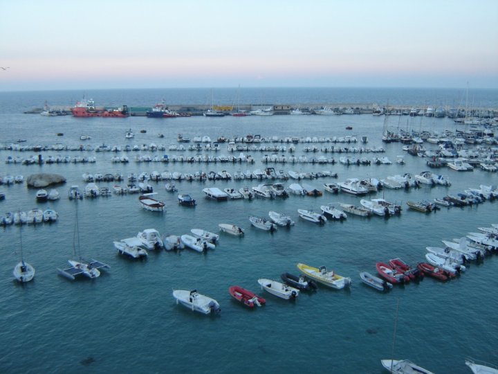 Popolazione marina di sara123