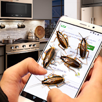 Roach Crawling on Screen Prank App