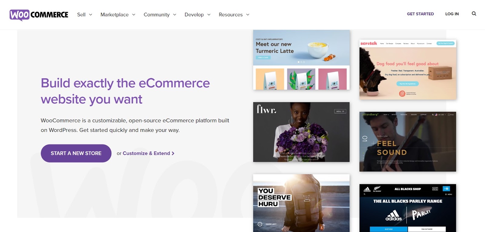 WooCommerce's landing page