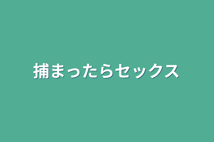 「捕まったらセックス」のメインビジュアル