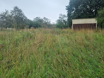 terrain à Neuilly-le-Bisson (61)