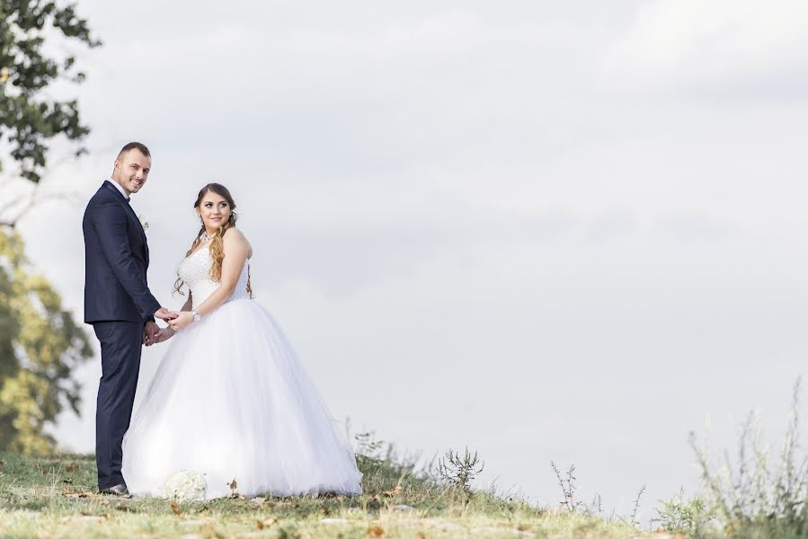 शादी का फोटोग्राफर Djordje Novakov (djordjenovakov)। अक्तूबर 3 2017 का फोटो