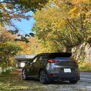 CX-3 DKEFW