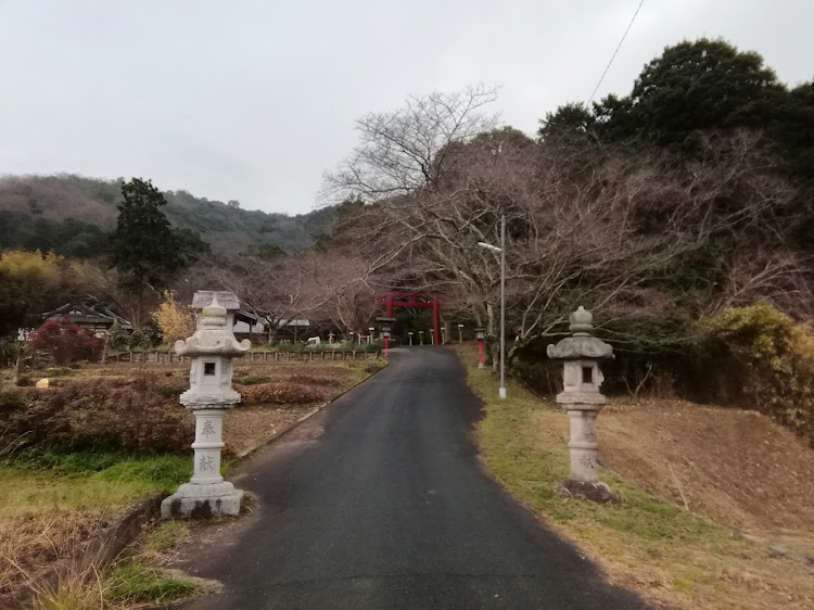 の投稿画像10枚目