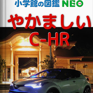 C-HR ZYX10