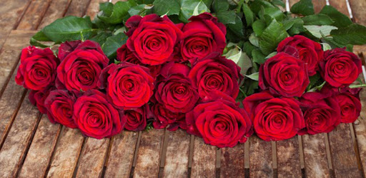 red-rose-image-6