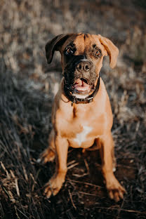 Huwelijksfotograaf Fábio Santos (ponp). Foto van 17 september 2021