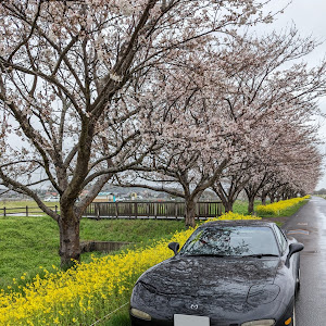 RX-7 FD3S 中期