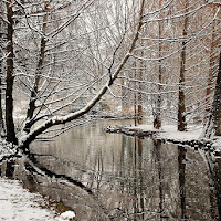 La prima neve di 