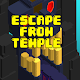 Download Escape From Temple For PC Windows and Mac 1.1