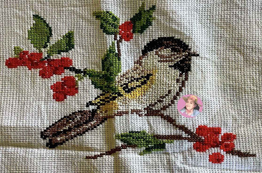 Bonito Pajarito en punto de cruz  cross stitch birds