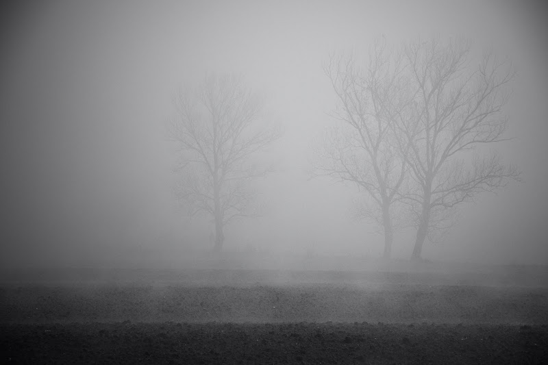 NUDI NELLA NEBBIA di battphoto