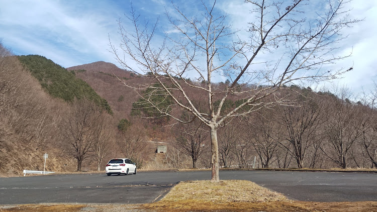 カローラフィールダーの黄砂と花粉は敵・残り物画像放出TIME！・北東北の桜はまだまだ・便座カー・写真が上手く撮れないに関するカスタム事例の投稿画像2枚目