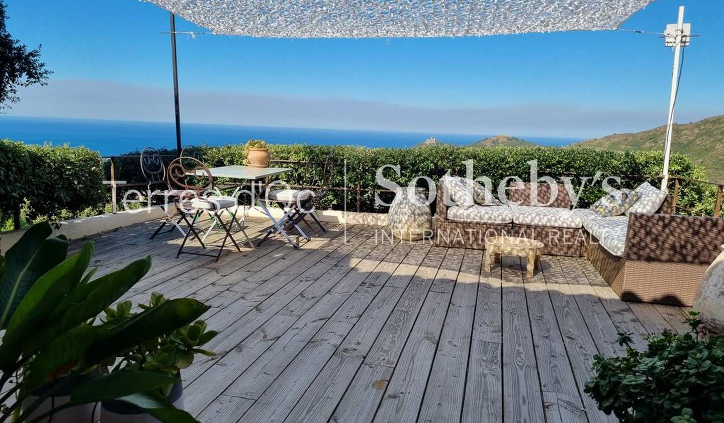 Seaside house and terrace Collioure