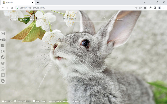 Bunny & Rabbit Wallpaper Custom New Tab