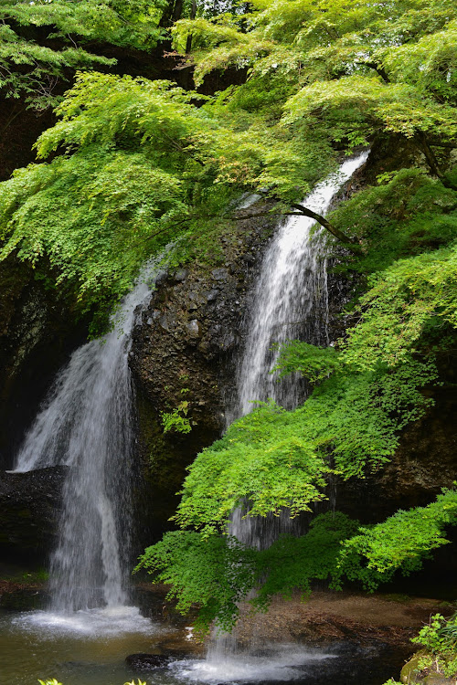 アルトラパンの月待の滝・月待の滝　もみじ苑・マイナスイオン浴びまくり・超有名スポット・笑顔が１番！に関するカスタム事例の投稿画像2枚目