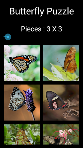 Jigsaw Puzzle: Butterfly