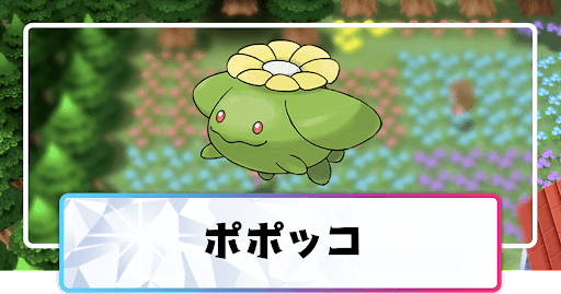 ポポッコ