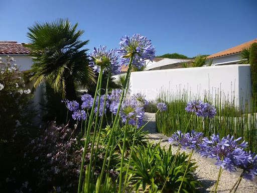 House with pool 5